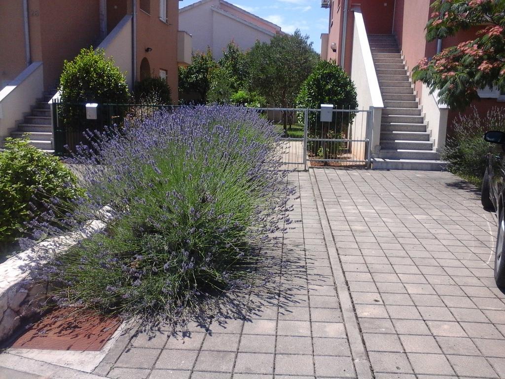 Apartments Danica Vodice Exterior foto